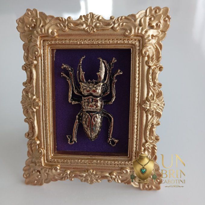 Cadre "Le Scarabée du Sultan"