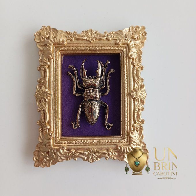 Cadre "Le Scarabée du Sultan"