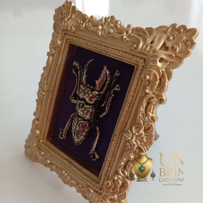 Cadre "Le Scarabée du Sultan"