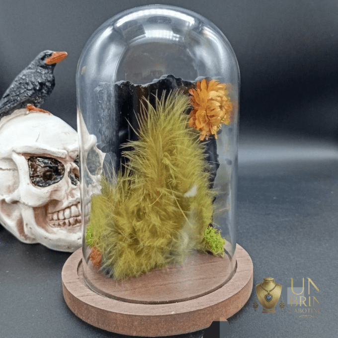 Globe de curiosités "L'Éveil Mystique"