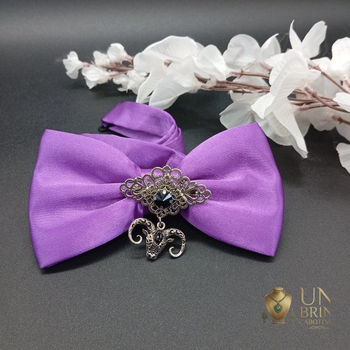 Nœud papillon violet