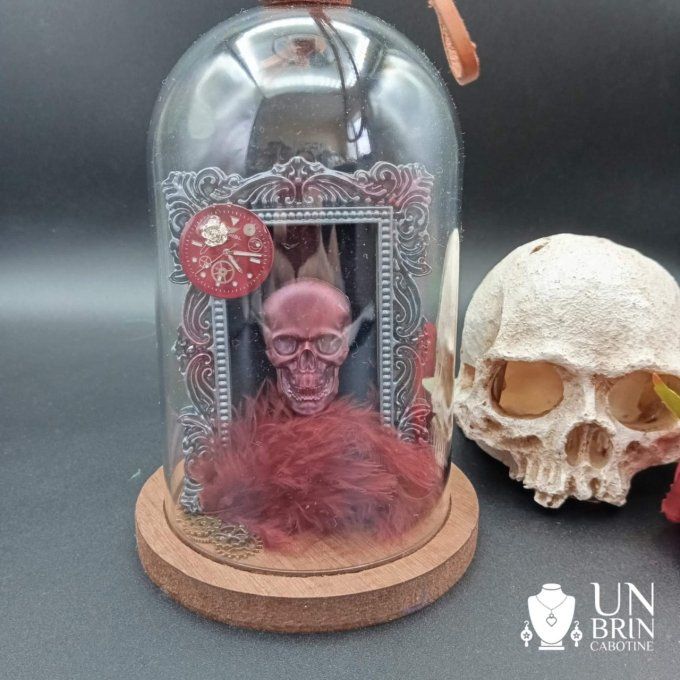 Globe cadre skull
