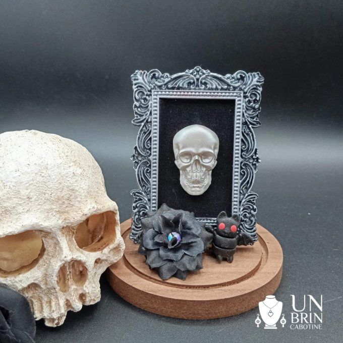 Globe cadre skull 