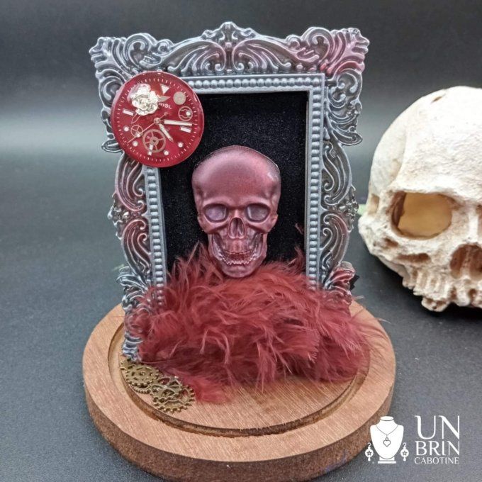 Globe cadre skull