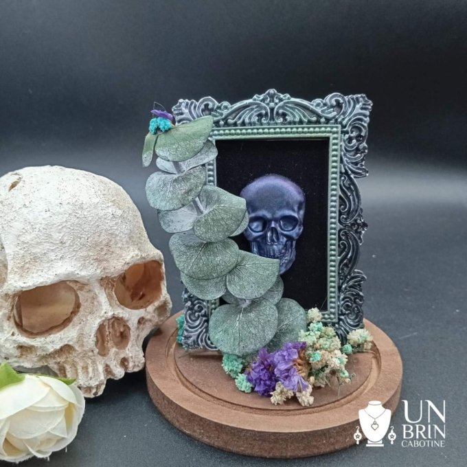 Globe cadre skull 