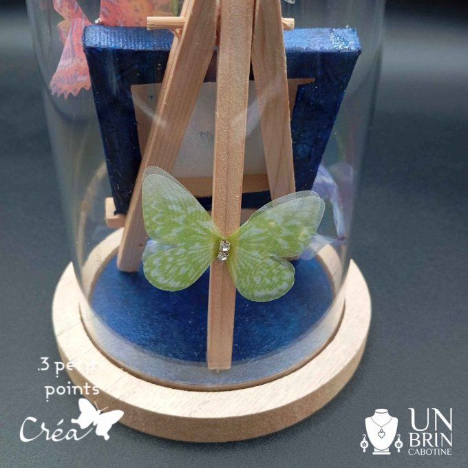 Collection de papillons, dans son globe.