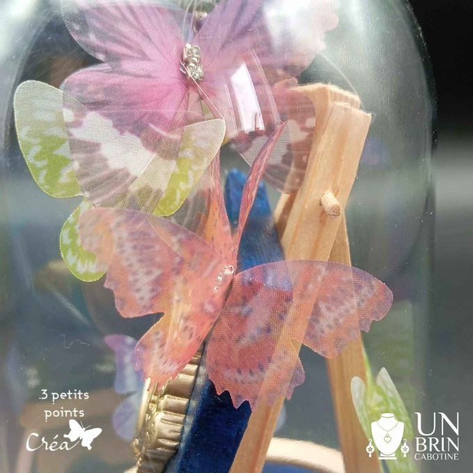 Collection de papillons, dans son globe.