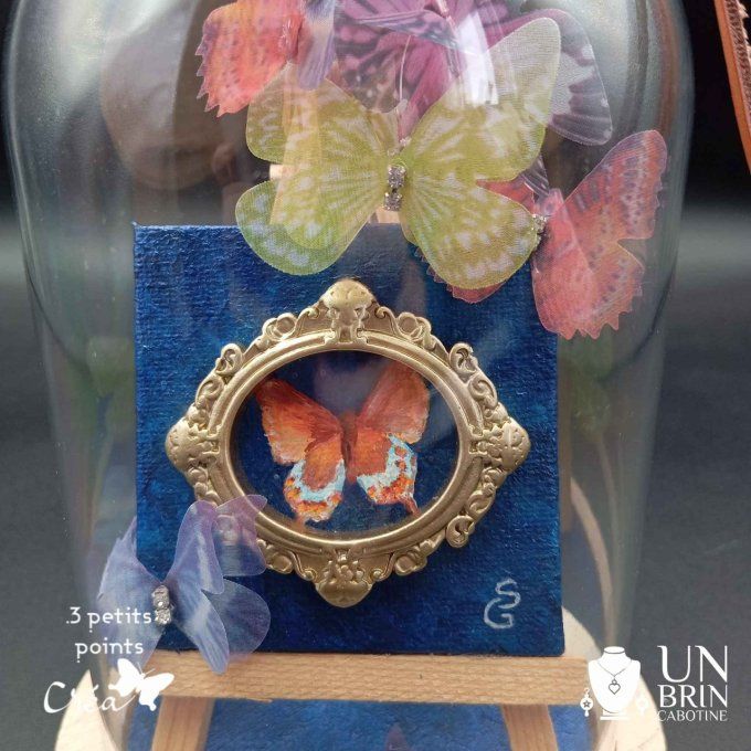 Collection de papillons, dans son globe.